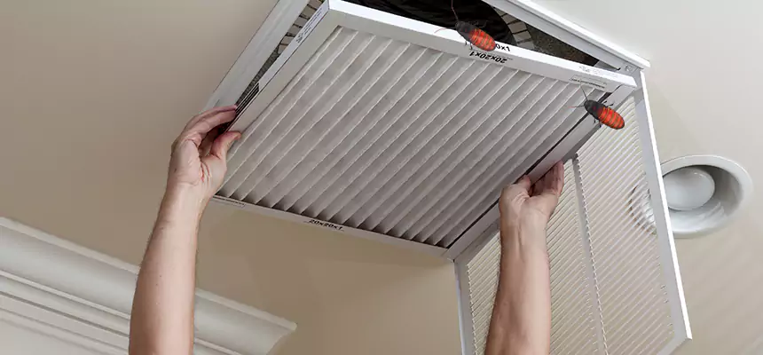Preventive Cockroach-Proofing for Ducts in Baldwin