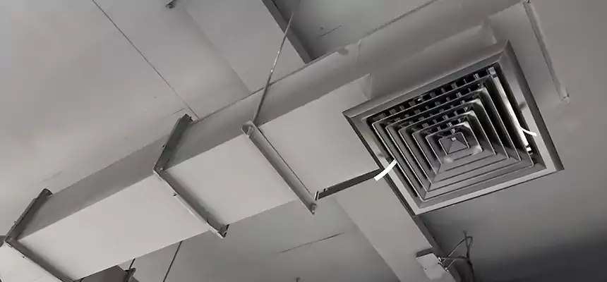 Our Rodent Droppings In Vents Services in Baldwin, NY