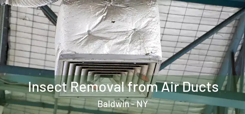  Insect Removal from Air Ducts Baldwin - NY
