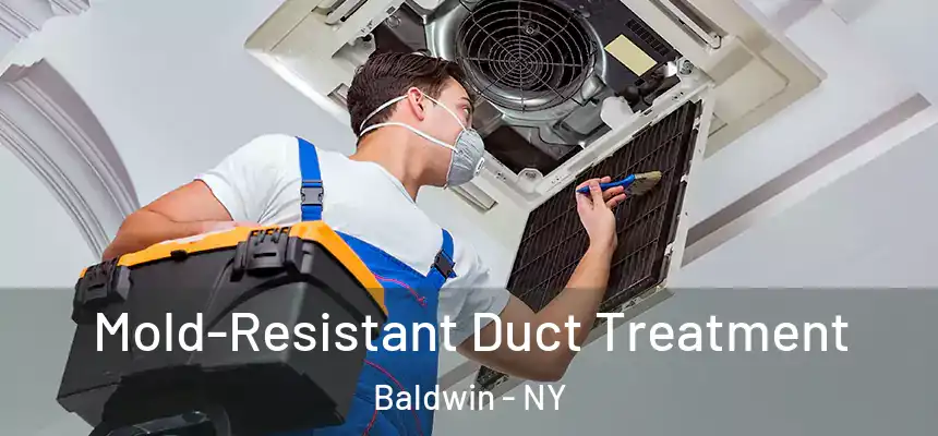  Mold-Resistant Duct Treatment Baldwin - NY