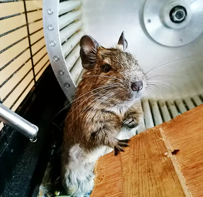 Why Homeowners & Businesses Trust Us Baldwin, NY?